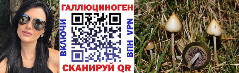 Псилоцибиновые грибы GOLDEN TEACHER  Чехов 